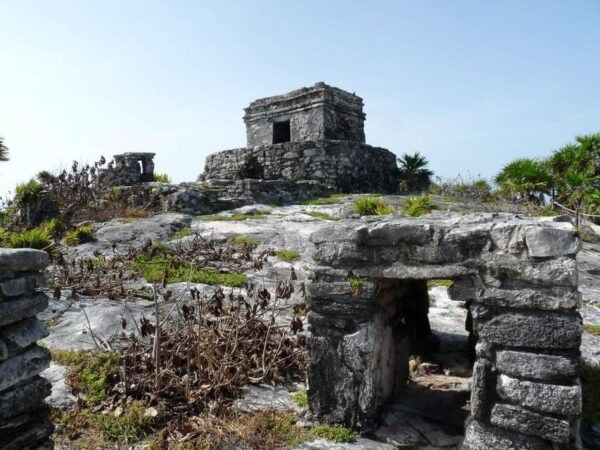 Tulum: PRIVATE TOUR Ruins & Turtle Bay & Cenote for 8 People - Activities and Highlights