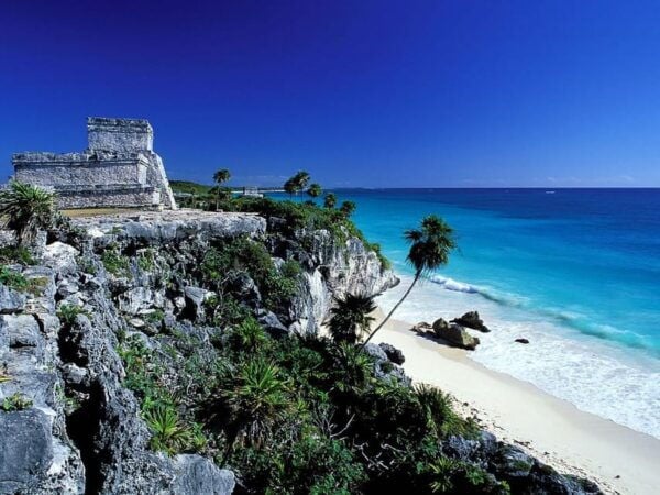 Tulum: PRIVATE TOUR Ruins & Turtle Bay & Cenote for 8 People - Frequently Asked Questions