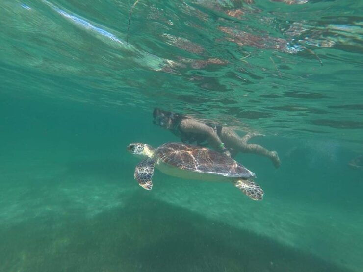 Tulum: Private Transfer to Chichen Itza, Coba, or EK Balam - Good To Know