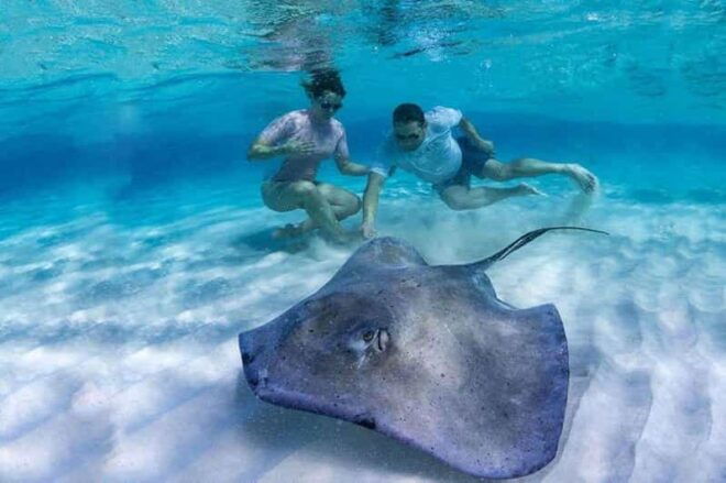 Tulum: Private Transfer to Chichen Itza, Coba, or EK Balam - Exploration Activities
