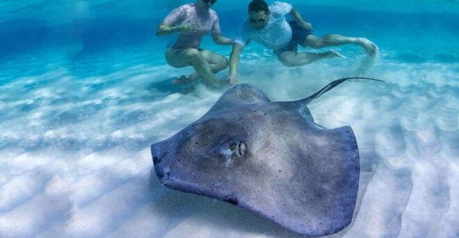 Tulum: Private Transfer to Chichen Itza, Coba, or EK Balam - Included Amenities