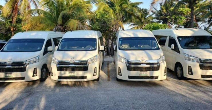 Tulum: Private Transpotation to Holbox Island - Experience Highlights