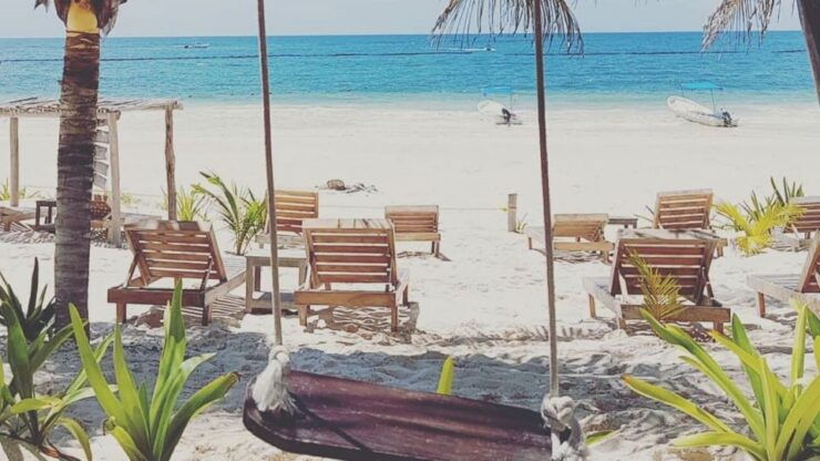 Tulum: Private Walking Tour With a Guide - Activity Information