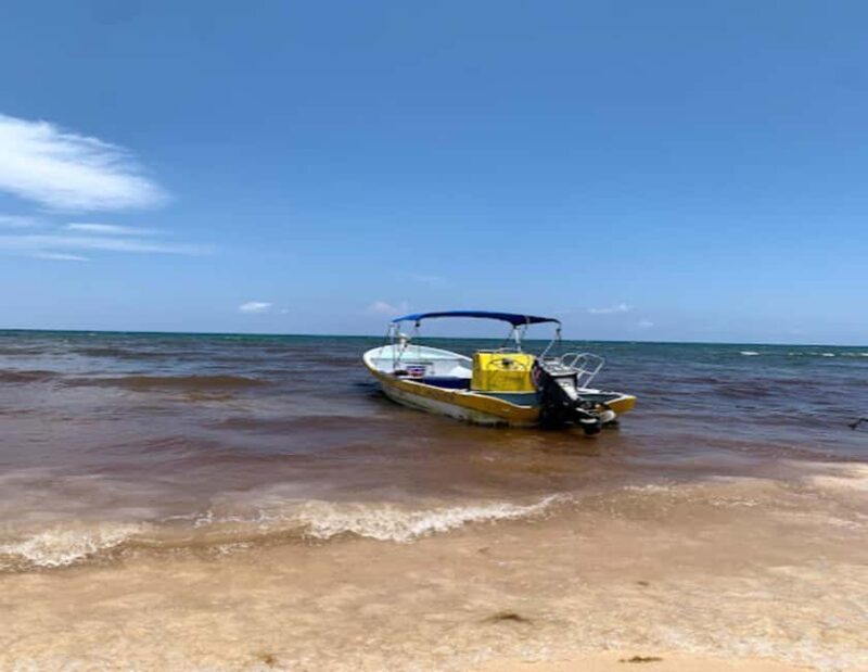 Tulum: Reef Snorkel Tour - The Itinerary in Detail