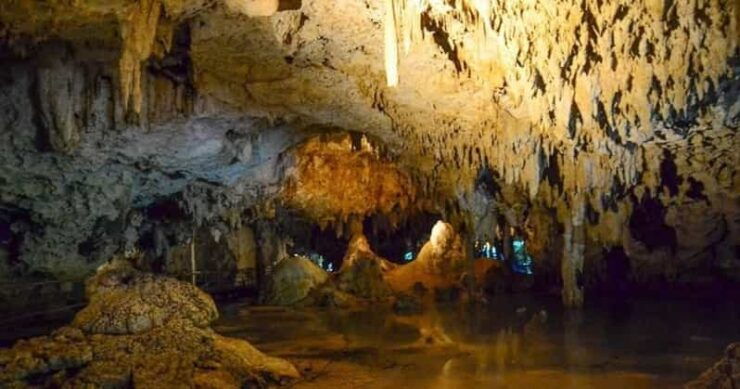 Tulum Reef Snorkeling and Cenote - Itinerary Highlights