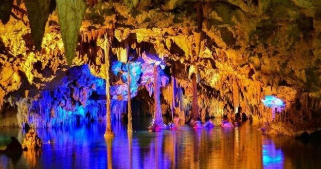 Tulum Reef Snorkeling and Cenote - Pricing and Availability