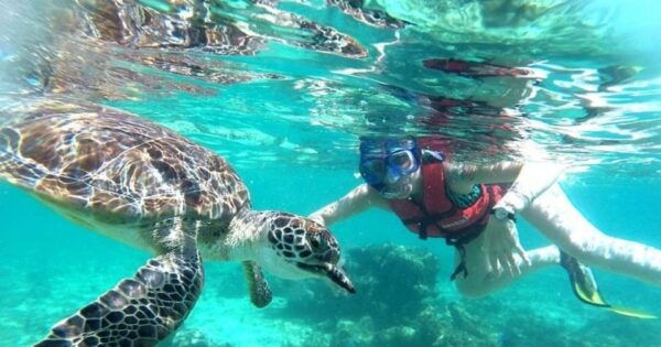 Tulum Reef Snorkeling and Cenote - Snorkeling in the Caribbean