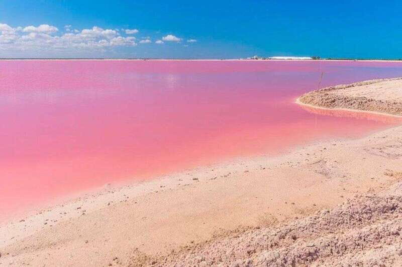 Tulum: Rio Lagartos Biosphere & Coloradas Pink Lake! Guided - Final Thoughts