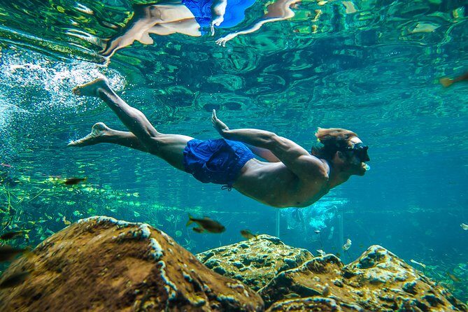 Tulum Ruinas and Tortugas Express - Final Thoughts