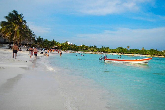 Tulum Ruins - Akumal & Cenote - Who Will Love This Tour?