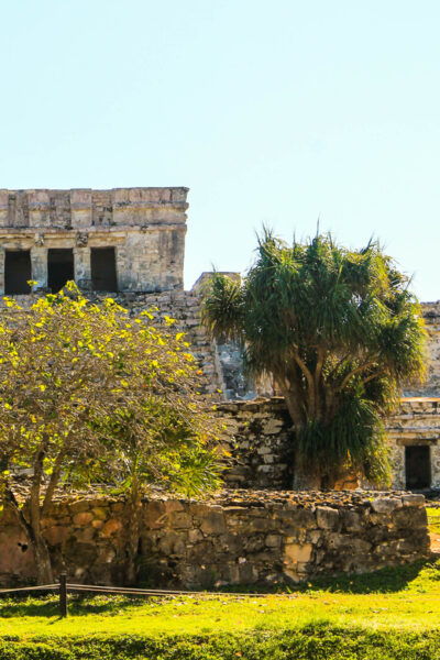 Tulum Ruins and Cenotes Tour - Reserve Now and Pay Later