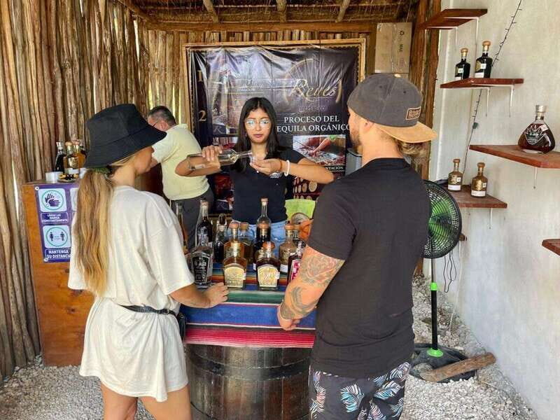 Tulum: Ruins by Boat, Swim with Turtles & Cenote Tour - Who Will Love This Tour?