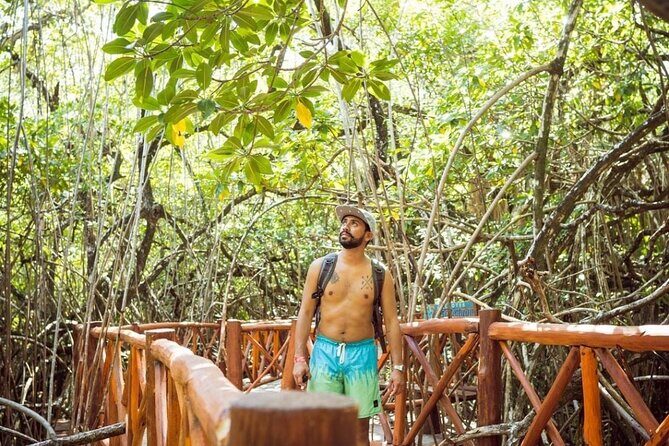 Tulum Ruins & Casa Tortuga Eco Adventure! 4 Cenotes from Tulum City - Who Should Book This Tour?