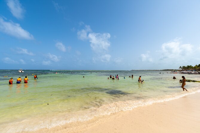 Tulum Ruins Cenote & Swimming With Turtles From Playa Del Carmen - Swimming With Turtles