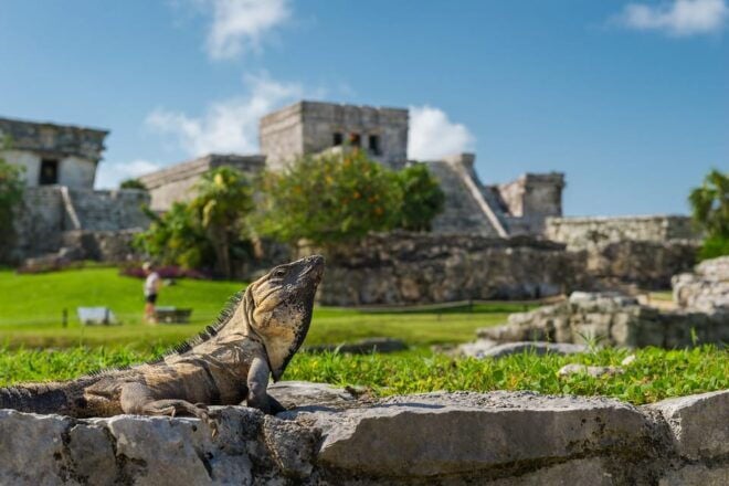 Tulum Ruins Guided Tour From Cancun and Riviera Maya - Important Information