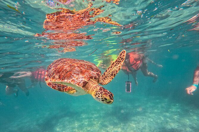 Tulum Ruins, Sea Turtles & Cenote Snorkeling Adventure Tour - A Practical Look at the Tulum Ruins, Sea Turtles & Cenote Snorkeling Adventure Tour
