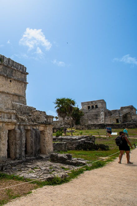 Tulum Ruins, Snorkeling in Yal-Ku Lagoon & Cenote Day Tour - Transportation and Meeting Points