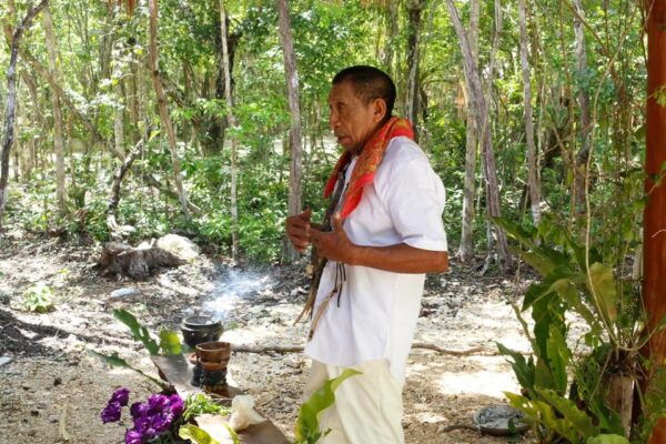 Tulum Ruins, Snorkeling in Yal-Ku Lagoon & Cenote Day Tour - Additional Information