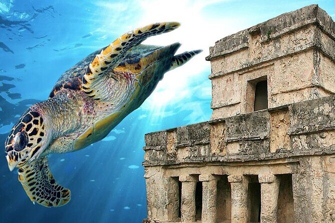 Tulum Ruins & Snorkeling with Sea Turtles Private Tour - Who Is This Tour Best For?