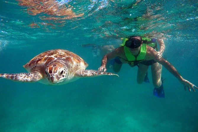 Tulum Ruins Swim With Turtles in Akumal and Cenote - Inclusions
