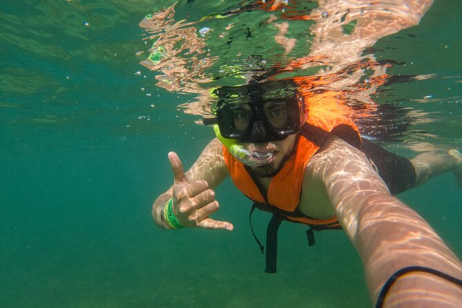 Tulum Ruins & Swimming With Turtles From Playa Del Carmen - Directions and Logistics