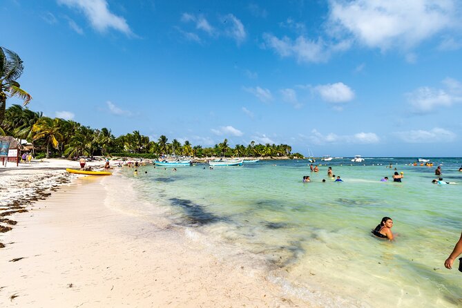 Tulum Ruins & Swimming With Turtles From Playa Del Carmen - The Sum Up