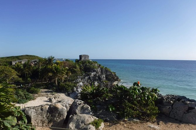 Tulum Ruins Tour (Private, Half Day) - Price and Booking Details