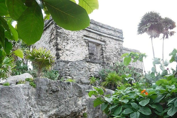 Tulum Ruins Tour (Private, Half Day) - The Sum Up