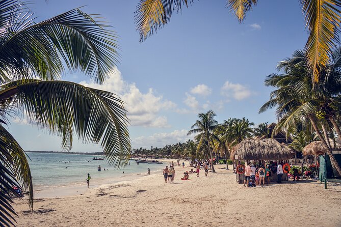 Tulum Ruins, Turtle Sighting and Underground Caves - Turtle Sighting