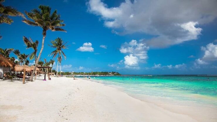 Tulum Ruins+ Turtles & Cenote &Lunch With Transportation) - Experience Highlights