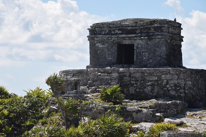 Tulum Ruins, Turtles in Akumal and Cenote Tour - Positive Feedback on Tour Guides