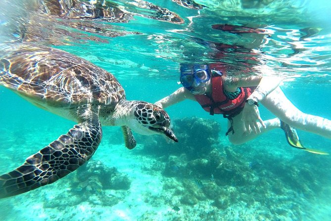 Tulum Ruins, Turtles in Akumal and Cenote Tour - Tulum Ruins Admission and History