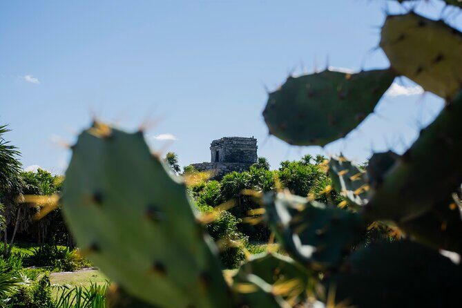 Tulum Ruins & Turtles Swim! Round Transportation From Cancun & Riviera Maya - The Authentic Touches and Reviewer Insights
