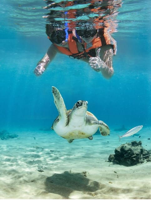 Tulum: Ruins, Turtles & Undeground Cenote! Culture & Nature - Inclusions and Requirements