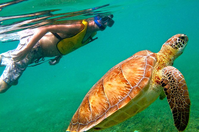 Tulum Ruins With Cenote and Swimming With Turtles From Cancun - Cenote and Swimming With Turtles