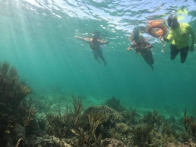 Tulum: Sailing Tour - Important Information