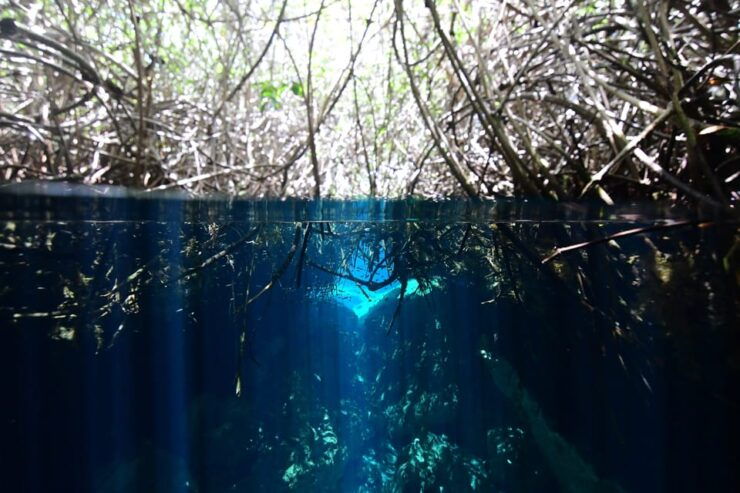 Tulum: Scuba Diving in Cenotes - Good To Know