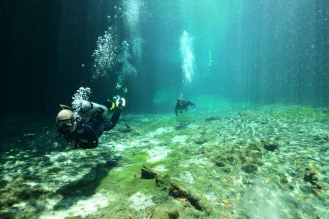 Tulum: Scuba Diving in Cenotes - Diving Experience