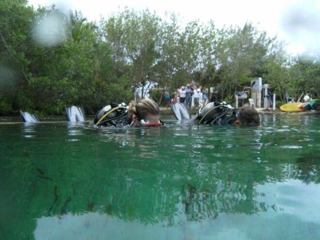 Tulum: Scuba Diving in Cenotes - Included Offerings