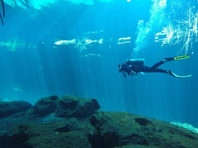 Tulum: Scuba Diving in Cenotes - Included Offerings