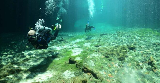 Tulum: Scuba Diving in Cenotes - Recommended Essentials