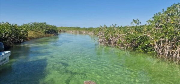 Tulum: Sian Kaan Biosphere Guided Tour - Extra Fees
