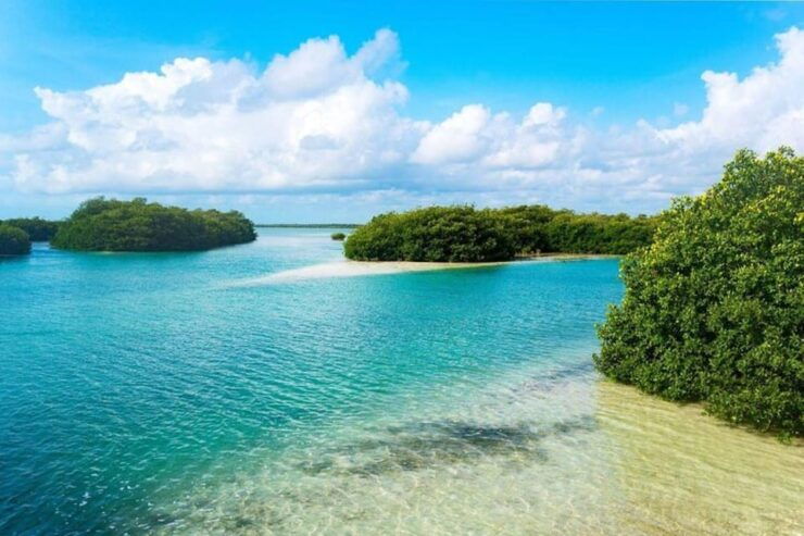 Tulum: Sian Kaan Biosphere Guided Tour - Good To Know