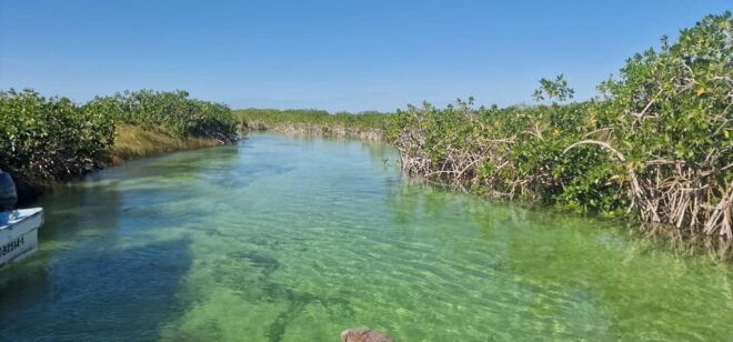 Tulum: Sian Kaan Biosphere Guided Tour - Activity Highlights
