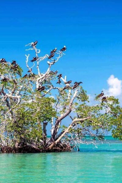 Tulum: Sian Kaan Biosphere Guided Tour - Extra Fees