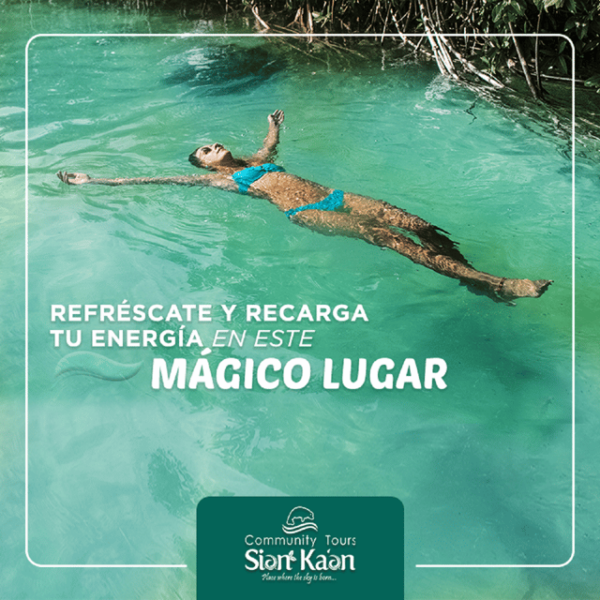 Tulum: Sian Kaan Biosphere Reserve Ancient Maya Canals Tour - Customer Feedback