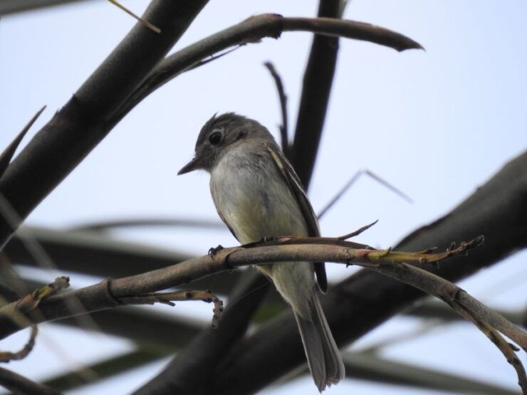 Tulum: Sian Ka'an Biosphere Reserve Guided Birdwatching Hike - Tour Highlights