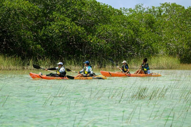 Tulum: Sian Ka'an Biosphere Reserve Kayak Tour - Pricing and Value