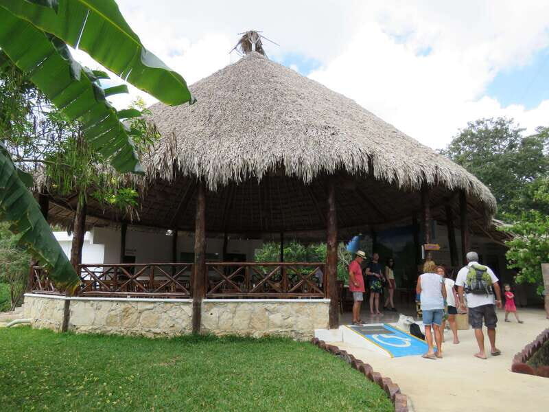 Tulum: Sian Ka'an Biosphere Reserve Kayak Tour - Final Thoughts