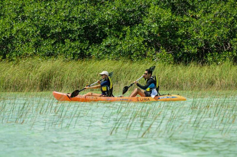 Tulum: Sian Ka'an Biosphere Reserve Kayak Tour - FAQ